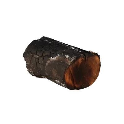burnt firewood 007 — Скачать