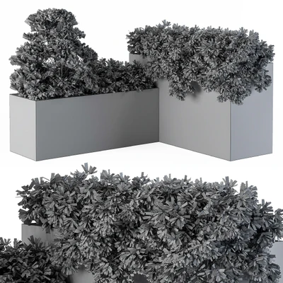outdoor Plants Concrete Box - Set 43 — Вид 2