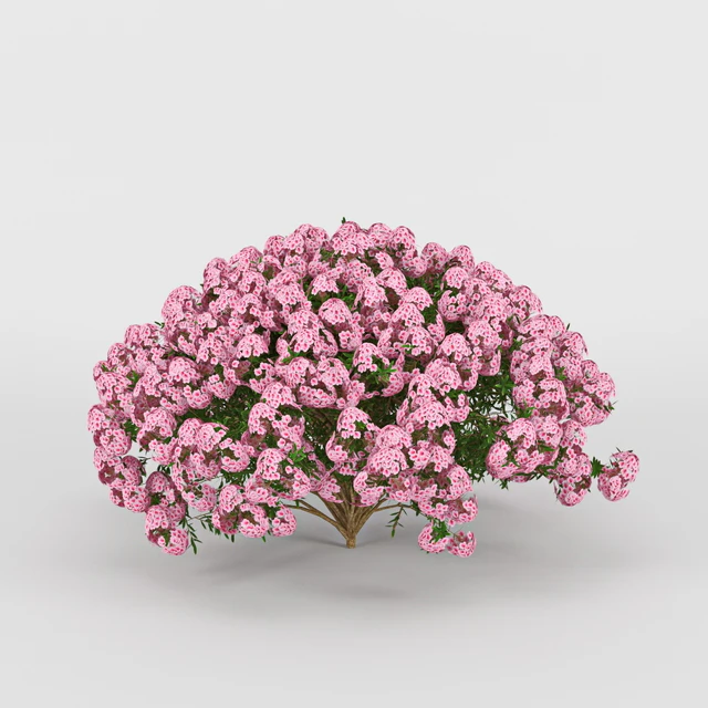 Azalea — Скачать