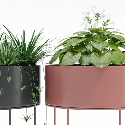 Plant box round — Вид 3