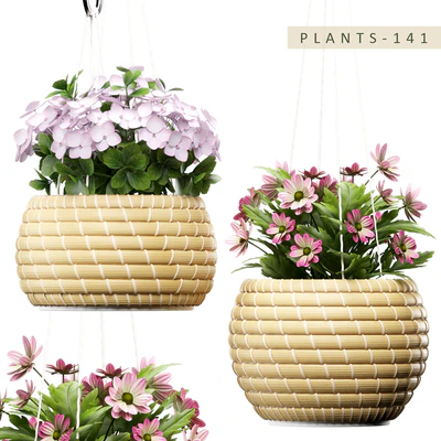PLANTS 141 — Скачать