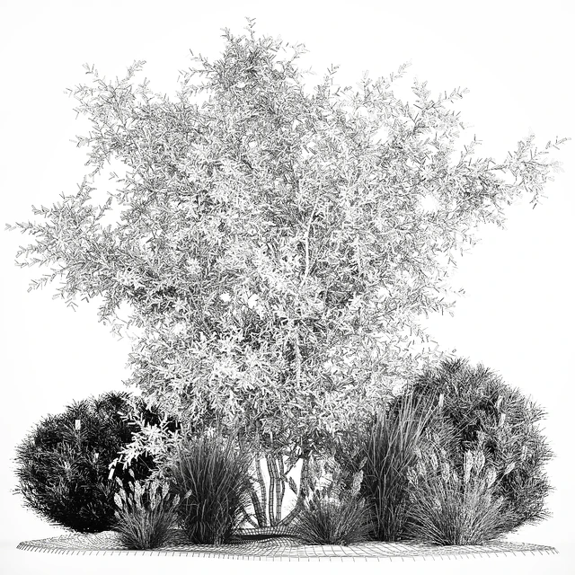 Альпийская горка с кустами олива, сосна, камыш, Ковыль трава, Лох серебристый. Набор растений 1189 — Скачать