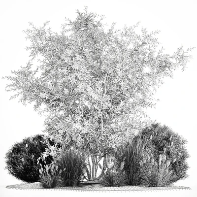 Альпийская горка с кустами олива, сосна, камыш, Ковыль трава, Лох серебристый. Набор растений 1189 — Вид 4