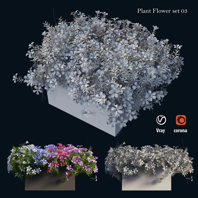 Plant Flower set 03 — Descargar
