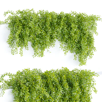 Hanging wall plants collection vol 64 — Вид 3