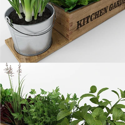 Kitchen garden — Ver 3