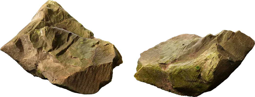 mossy forest boulder 007 — Descargar