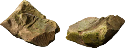 mossy forest boulder 007 — Descargar
