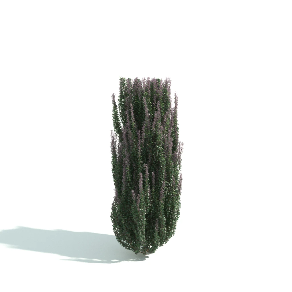 hedges 059 — Скачать
