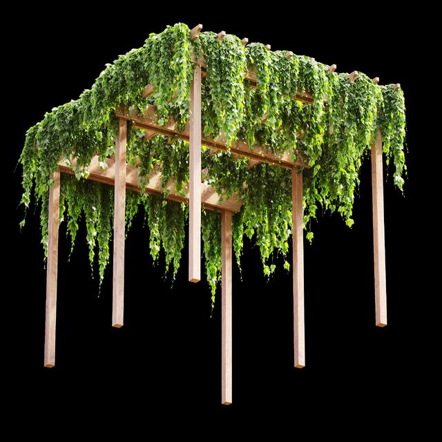 Pergola with grape leaves v2 — Descargar