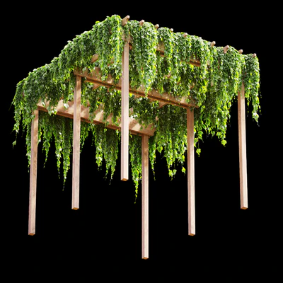 Pergola with grape leaves v2 — Ver 1