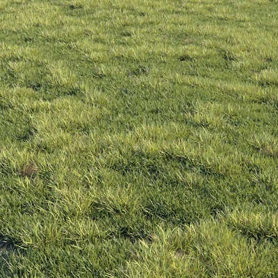 Grass kit 2 — Вид 3