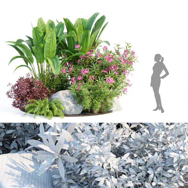 Outdoor Garden Plants Collection vol 136 — Скачать