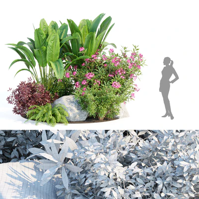 Outdoor Garden Plants Collection vol 136 — Вид 5