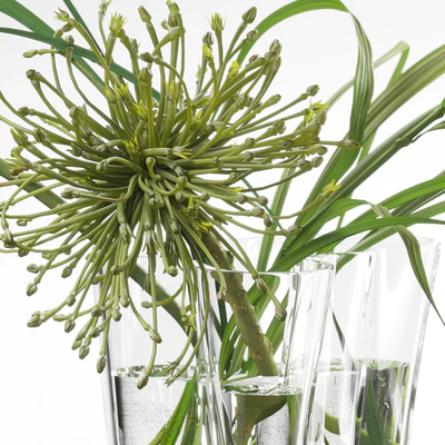 Decor set 047 with green plants AALTO VASE — Вид 5