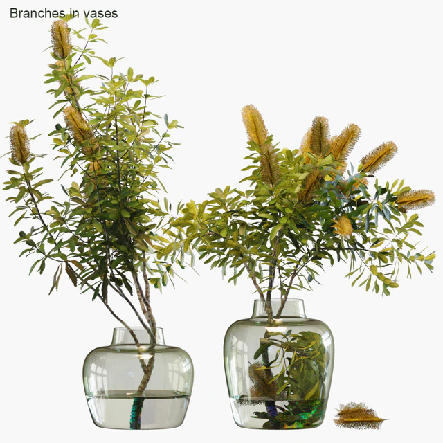Branches in vases # 28: Banksia — Descargar
