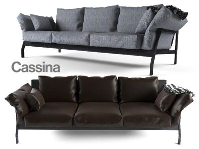 Cassina eloro — Вид 3