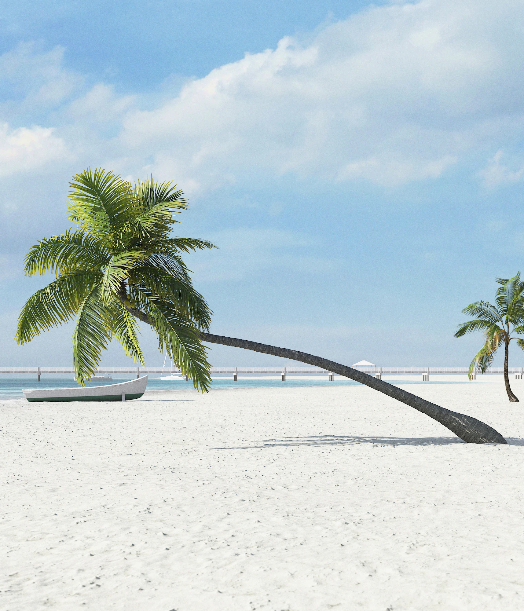palm trees 037 — Descargar