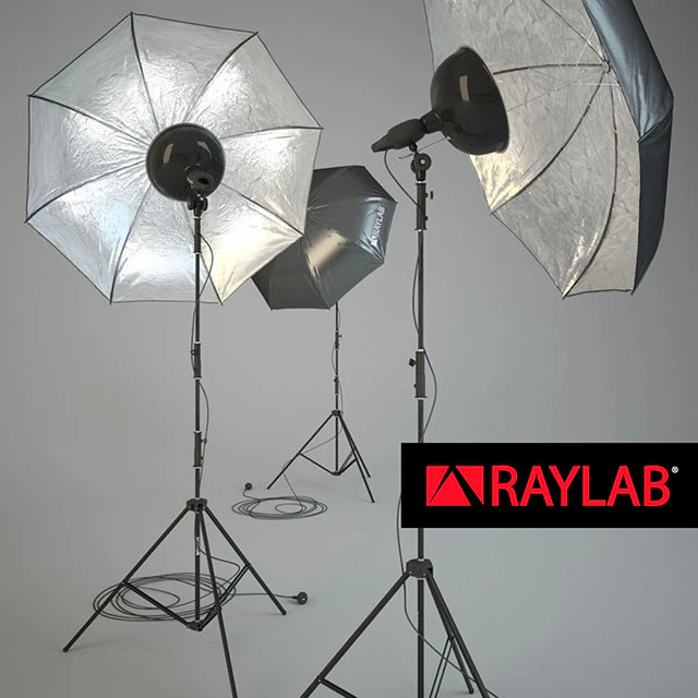 RAYLAB Umbrella silver — Descargar