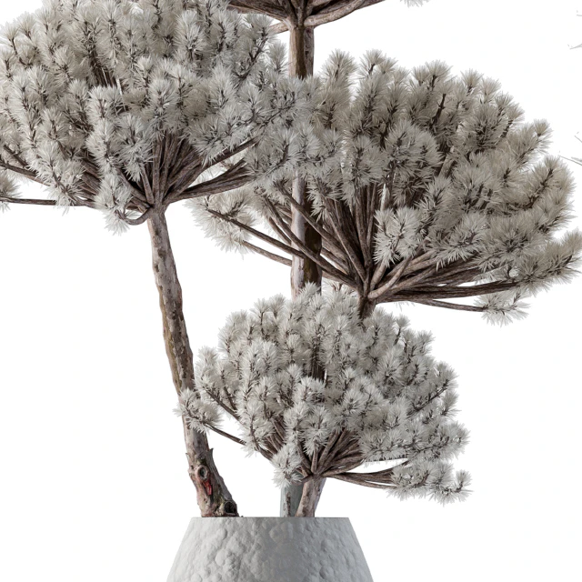 Dry plants 22 - Big Pampas asteroid Pot — Скачать