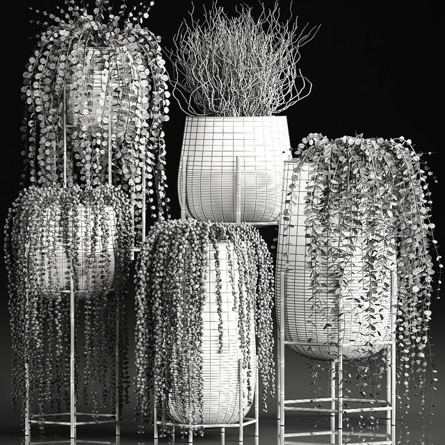 A collection of plants in luxury gold pots with Rowley's Crossberry, dyschidia, Succulents, hanging plants. Set 543. — Descargar