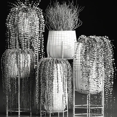 A collection of plants in luxury gold pots with Rowley's Crossberry, dyschidia, Succulents, hanging plants. Set 543. — Ver 4