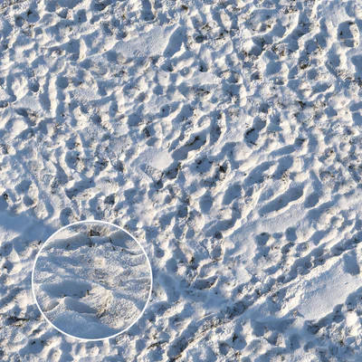 Grass under the snow (material) — Ver 1