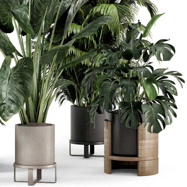 Indoor Plants in Ferm Living Bau Pot Large - Set 1188 — Descargar