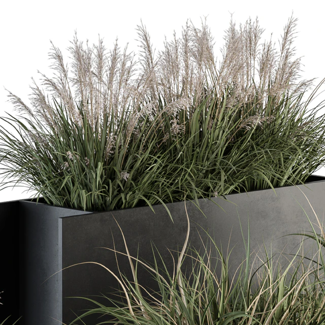 Outdoor Plant Set 288 - Grass in Plant Box — Descargar