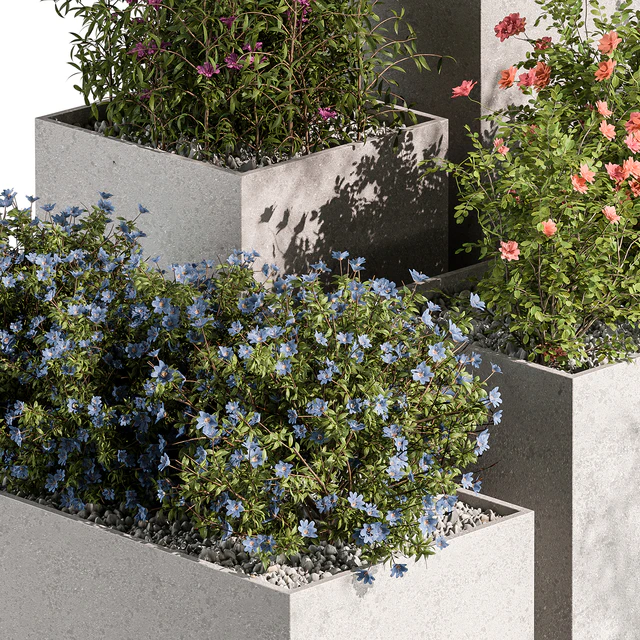 Plant Box - Outdoor Plants Flowers 534 — Скачать