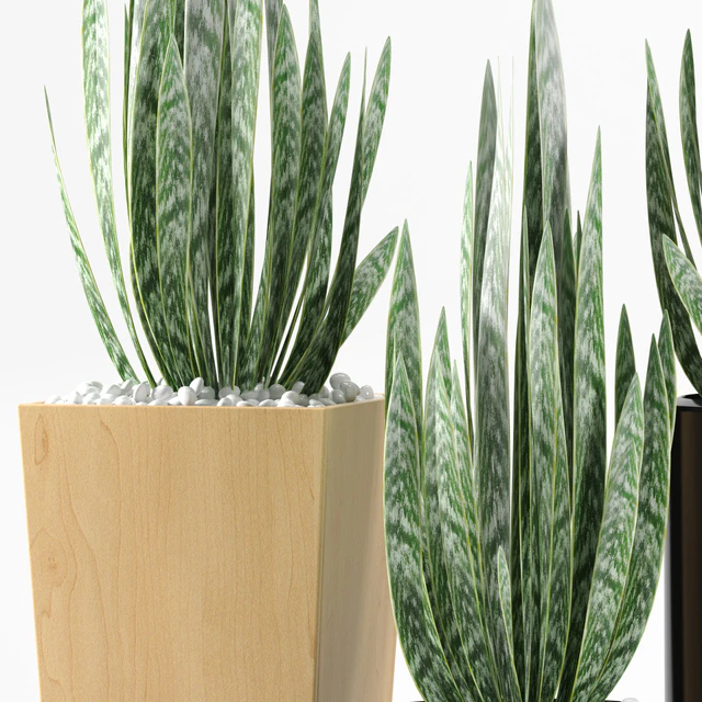 PLANTS 103 — Descargar