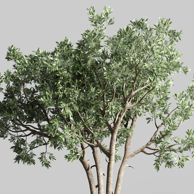 Indoor outdoor plant 111 pot friendship-love tree concrete vase — Вид 3