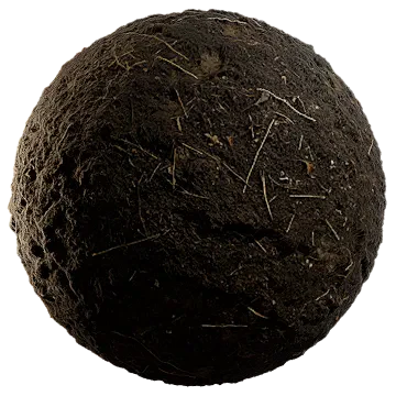dried grass on moss 002 — Descargar