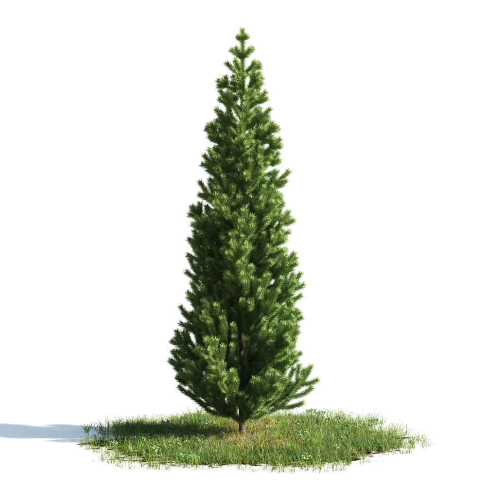 trees 043 — Скачать