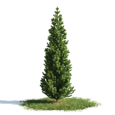 trees 043 — Скачать