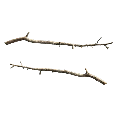 tree branch 007 — Скачать
