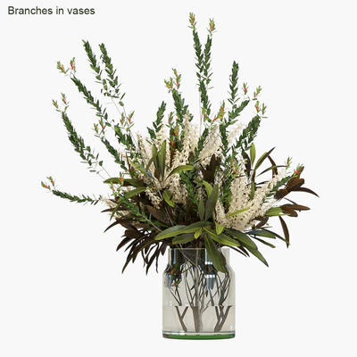 Branches in vases #4 — Скачать