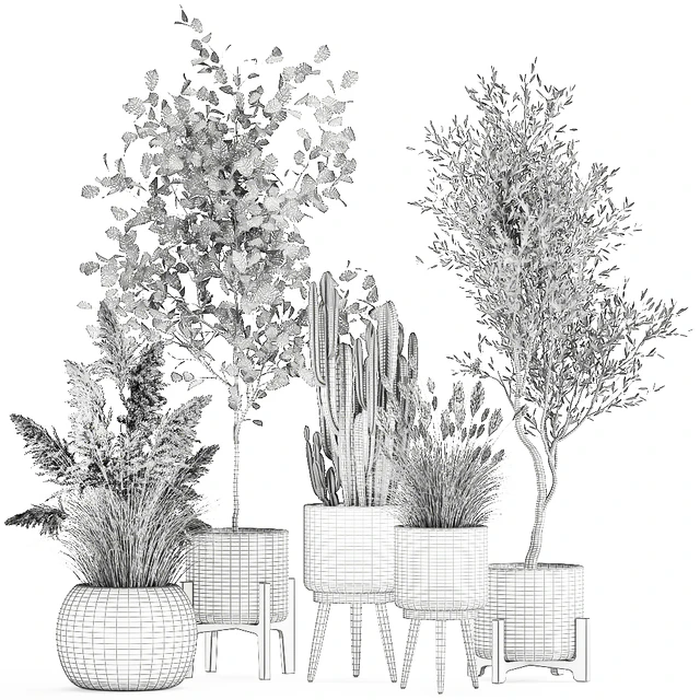 Collection of plants in white baskets with pampas grass, tree, olive, cactus, Cereus, hazel, hazel. Set 1035. — Descargar