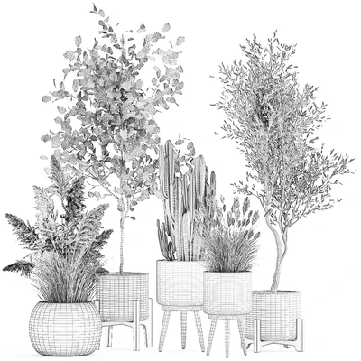 Collection of plants in white baskets with pampas grass, tree, olive, cactus, Cereus, hazel, hazel. Set 1035. — Ver 4