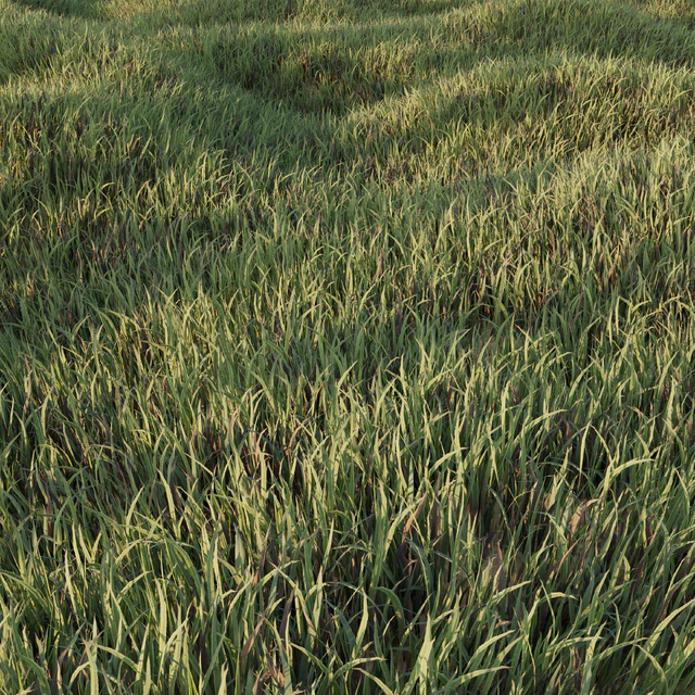 Grass Collection 5 — Descargar