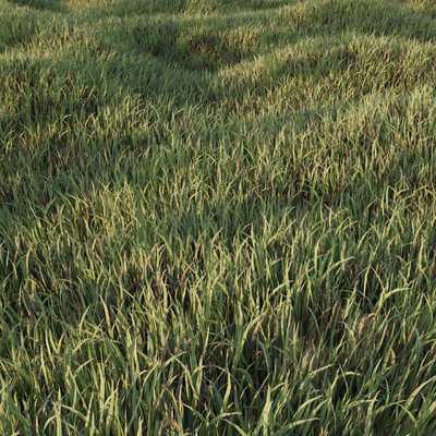 Grass Collection 5 — Ver 3