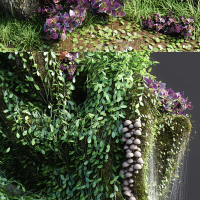 Dwarf Florarium — Ver 3