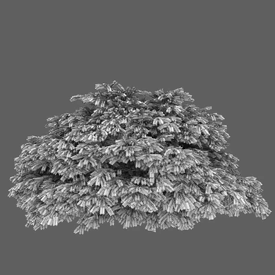 Picea — Ver 3