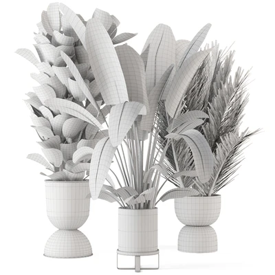 Indoor Plants in Ferm Living Bau Pot Large - Set 273 — Ver 3