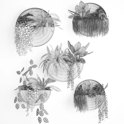 Vertical gardening. 56 Garden, wall decor, ferns, succulents, black metal shelf, flowers, loft, hanging plants, hanging down — Ver 3