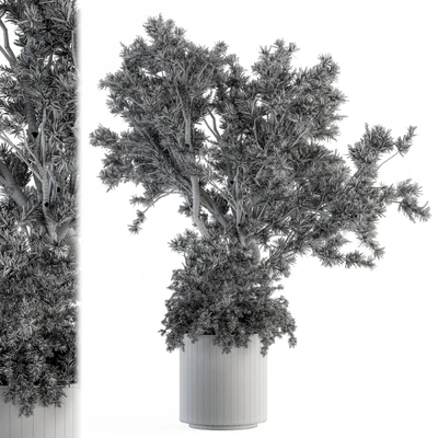 Outdoor Plants tree in Concrete Pot - Set 130 — Вид 4