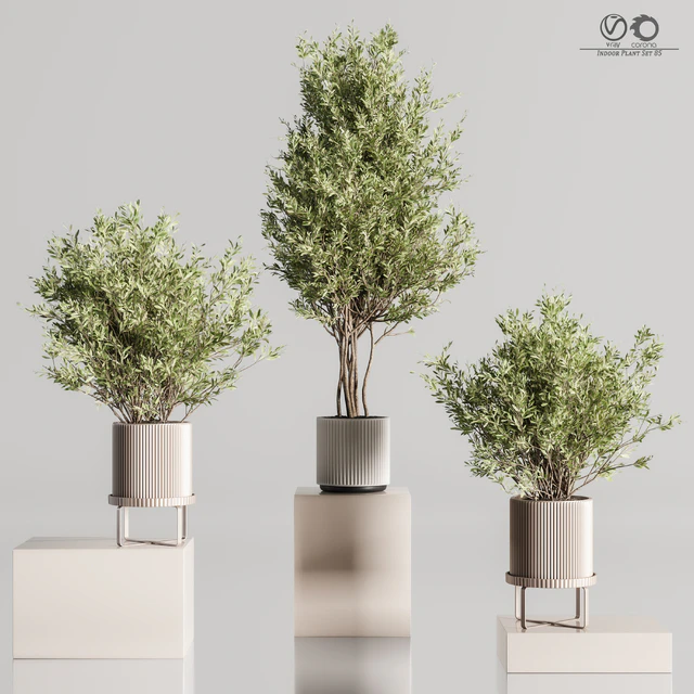 Indoor Plant Set 85 — Descargar