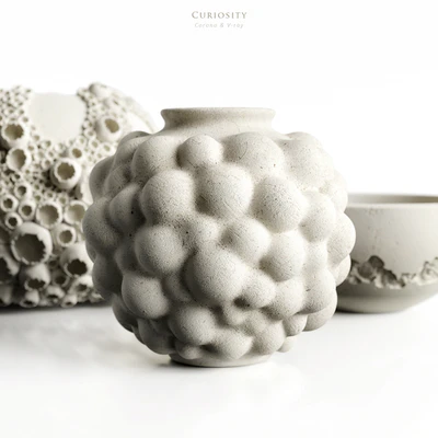 Curiosity — Ver 6