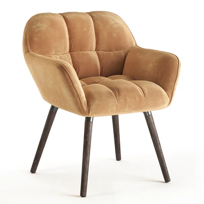 Chair Brian Zamsha Beige — Ver 1