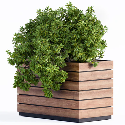 Plant Box Green & Wood — Вид 2